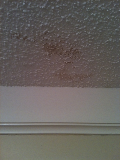 Naptime Diy What Is That Stain On My Ceiling Daddy Mojo
