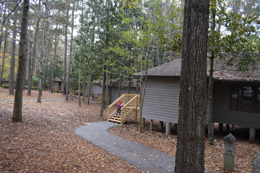 Callaway Gardens Exceeds Expectations Regardless Of The Season