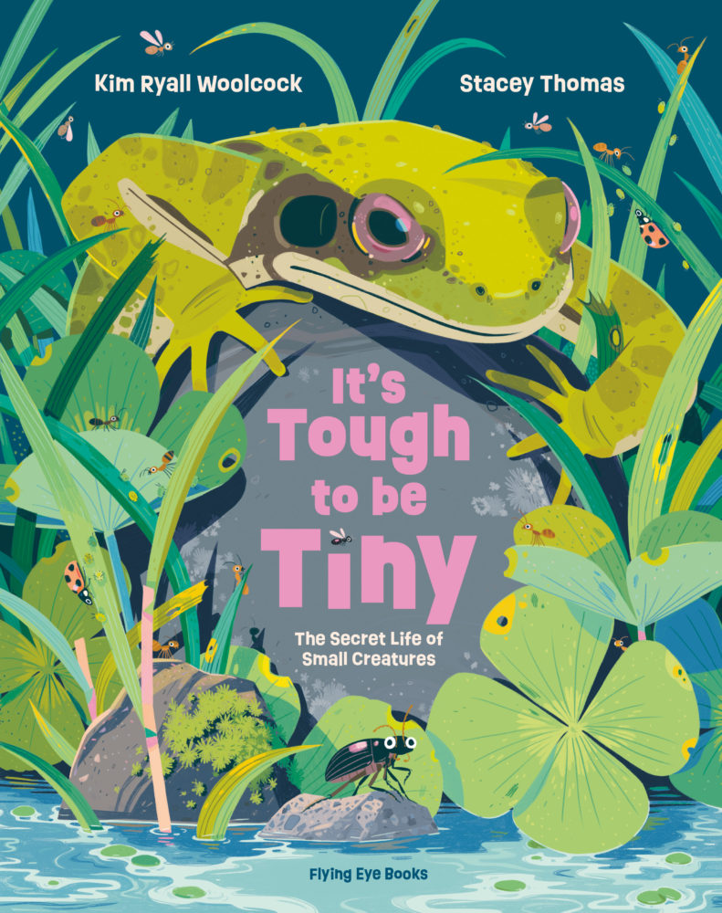 It’s Tough to be Tiny is a STEM illustrated look at small critters that make up various biomes that’ll interest kids 7-14.