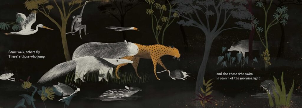Waiting for the Dawn is a gorgeous illustrated book that uses (mainly) duo-chromatic colors to tell the story of a fire, the forest and its rebirth.