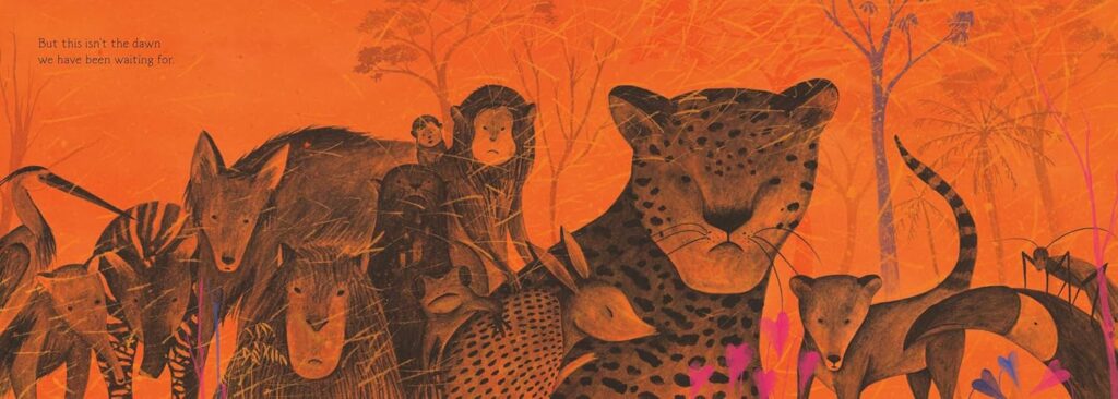 Waiting for the Dawn is a gorgeous illustrated book that uses (mainly) duo-chromatic colors to tell the story of a fire, the forest and its rebirth.