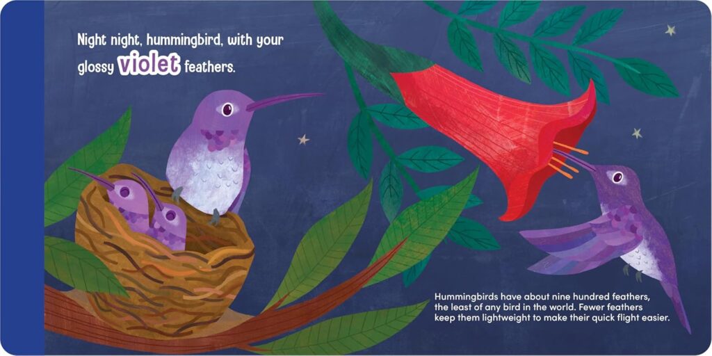 Night Night Tyrannosarus is a board book that uses some go-to elements for toddlers and crawlers, but adds a little STEM.