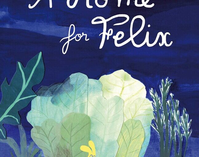 A Home for Felix uses dreamy art and an open story to its benefit