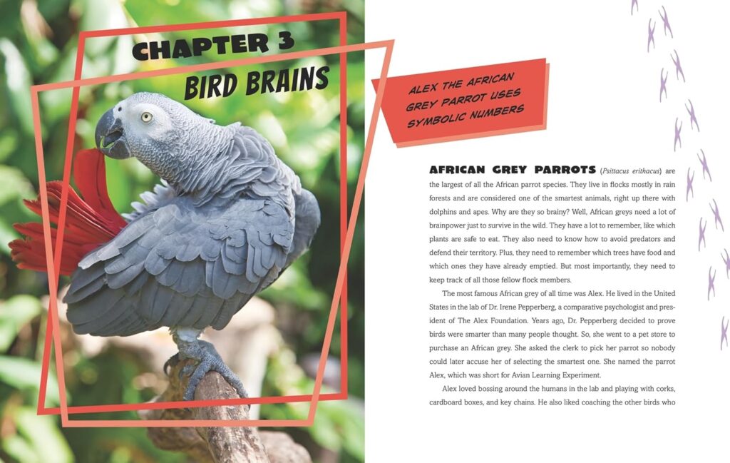 Calculating Chimpanzees, Brainy Bees, and other Animals with Mind-Blowing Mathematical Abilities is STEM for kids that’s accessible, with more of a scientific, narrative flow than some its over-the-top brethren.