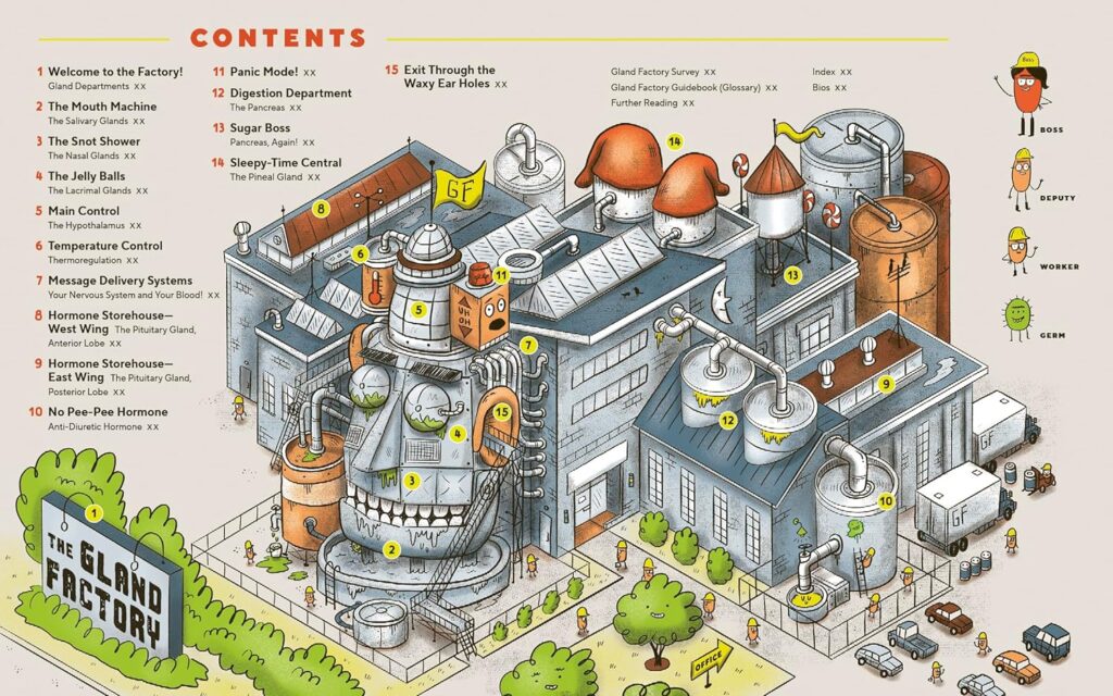 The Gland Factory straddles the line between reference book and graphic novel in a funny, LOL, and educational way that kids will want to experience.