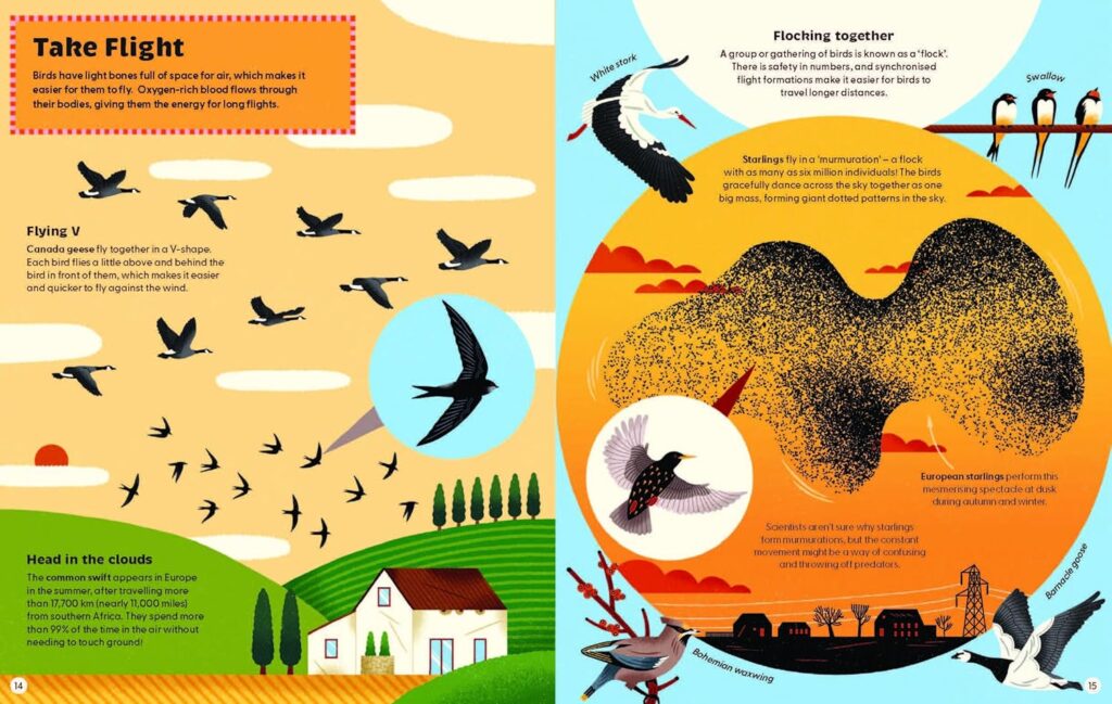 What Makes A Bird? is effortlessly enjoyable STEM on the ancestors of dinosaurs and their habitats and characteristics today.