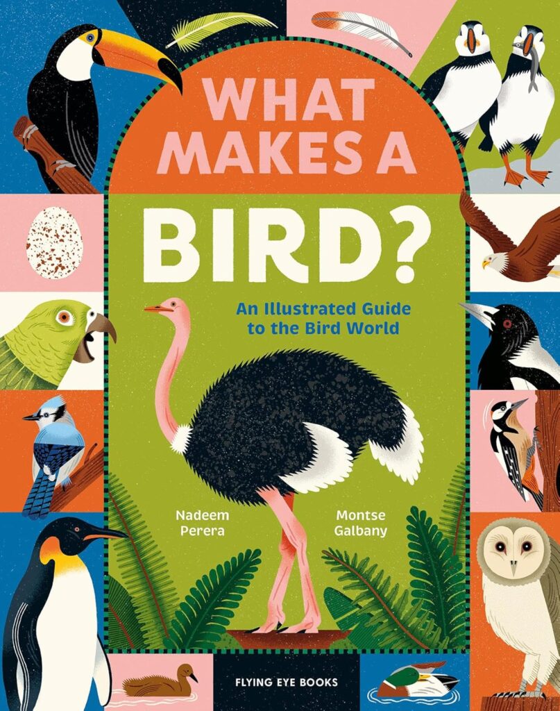 What Makes A Bird? is effortlessly enjoyable STEM on the ancestors of dinosaurs and their habitats and characteristics today.