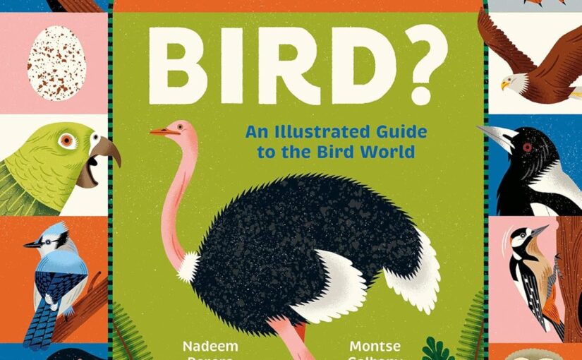 What Makes A Bird?, timeless STEM that crosses into enjoyment 