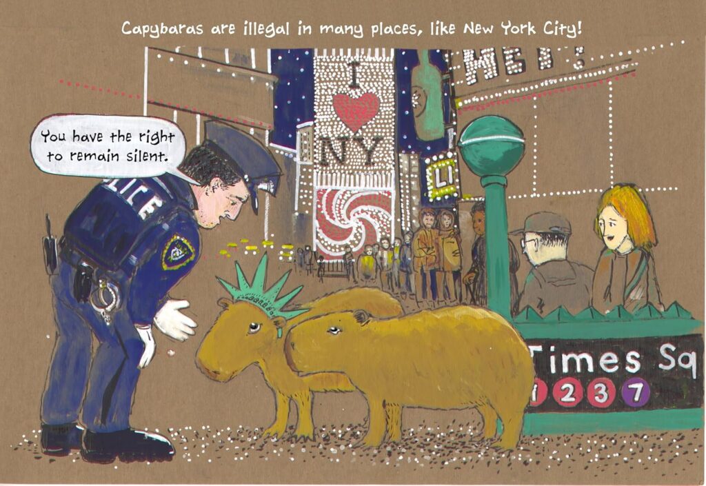 Wild About Capybaras! is a Giggle and Learn book for early-elementary ages. It educates without issue and entertains effortlessly.