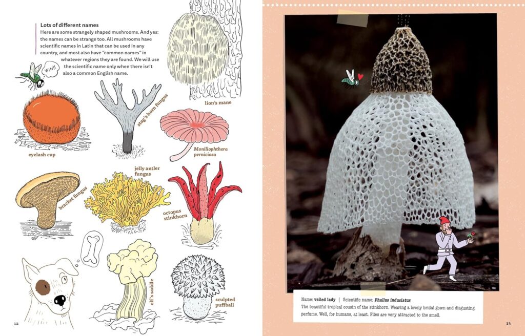 Mushrooms and Company doesn’t cap the fun. It’s reference smart, clever text, witty illustrations and photographic icks for ages 8 and up.