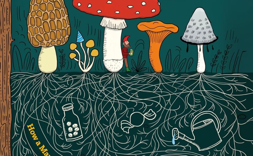 Mushrooms and Company sets the reference STEM mold to fun for ages 8 and up