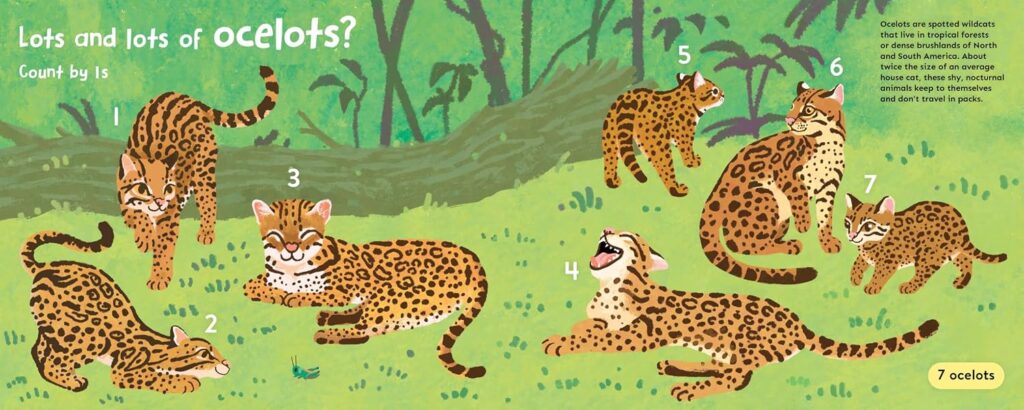 Lot and Lots of Ocelots: A Skip Counting Book is the fun, effortlessly educational book that delayed middle school math students secretly wish that they had seven years earlier.