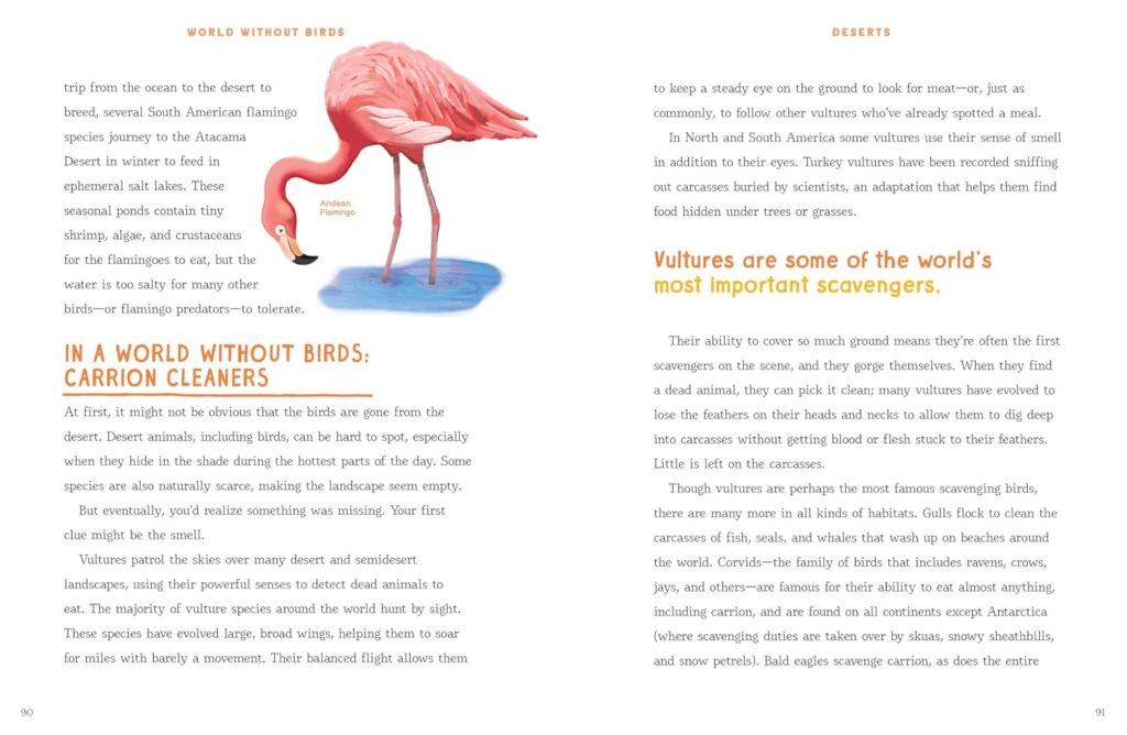 Hopefully, World Without Birds knows the adage “don’t judge a book by its cover” and uses its content to win over young readers and naturalist kids.