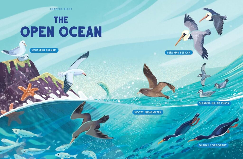 Hopefully, World Without Birds knows the adage “don’t judge a book by its cover” and uses its content to win over young readers and naturalist kids.