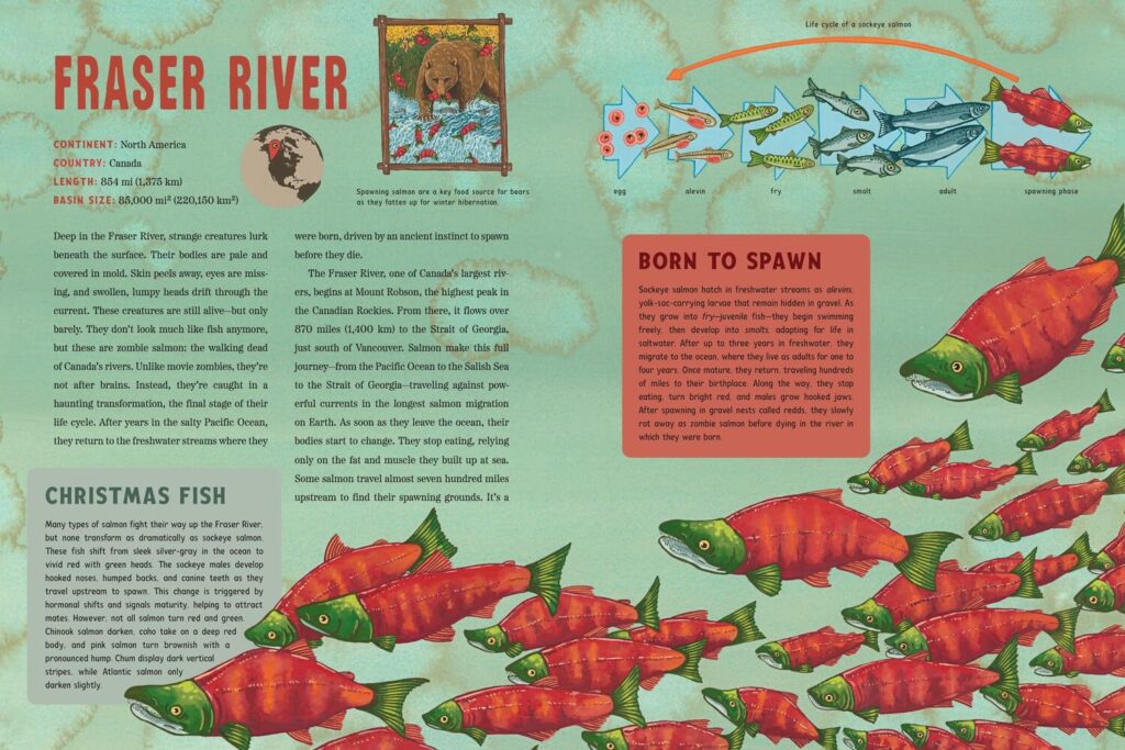 Spooky Rivers is an oversized book for ages seven and up that inspires curiosity with monsters and treasure, but also adds STEM 411 for all.