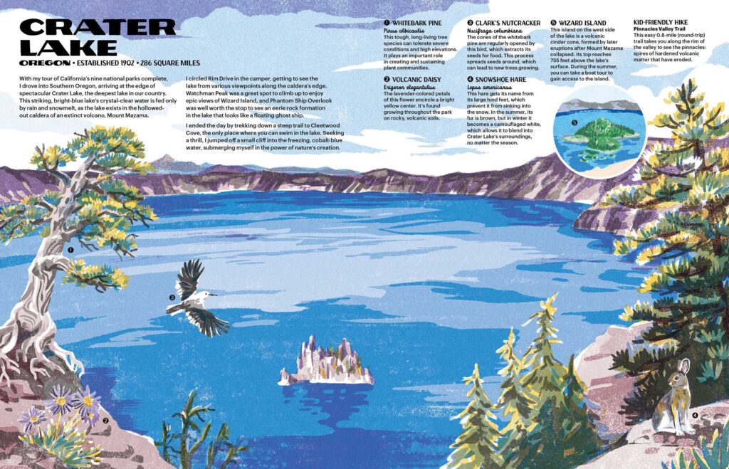 The Nature of our National Parks includes every U.S. national park, some of its flora and fauna and corner-to-corner illustrations to motivate your visit.