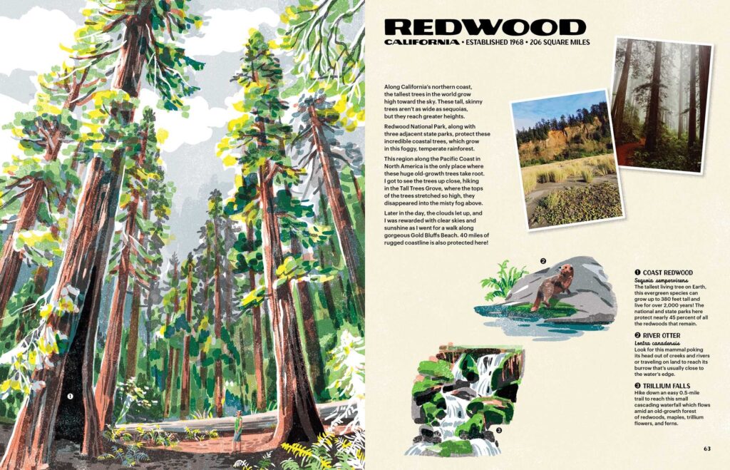 The Nature of our National Parks includes every U.S. national park, some of its flora and fauna and corner-to-corner illustrations to motivate your visit.
