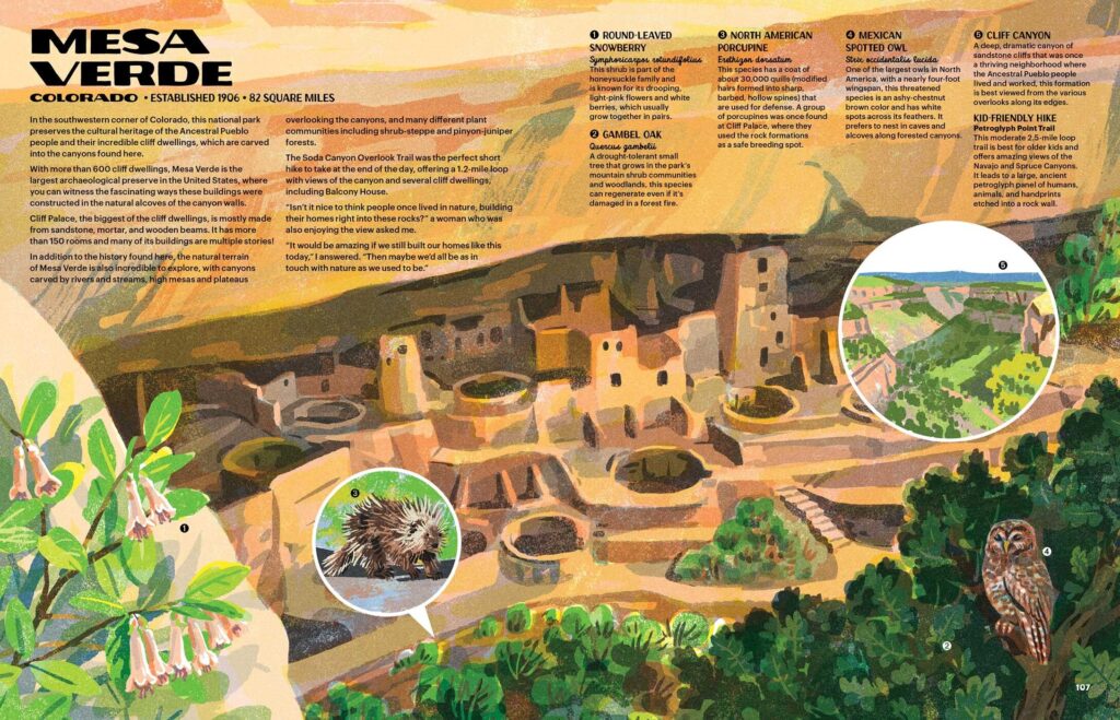 The Nature of our National Parks includes every U.S. national park, some of its flora and fauna and corner-to-corner illustrations to motivate your visit.